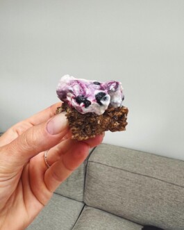 Jaclyn Cave, Naturopath