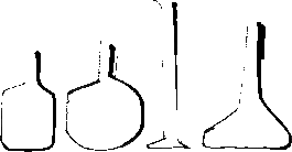 Jaclyn Cave, Naturopath