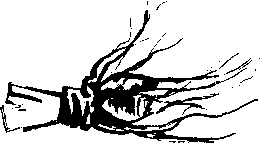 Jaclyn Cave, Naturopath