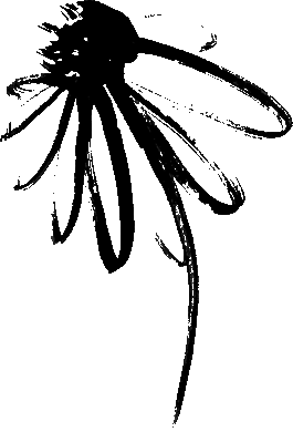 Jaclyn Cave, Naturopath