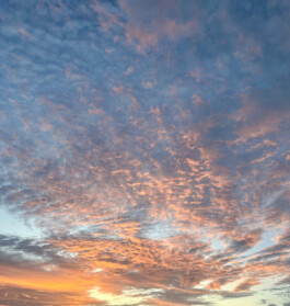 Jaclyn Cave, Naturopath