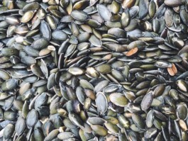 Jaclyn Cave, Naturopath