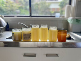 Jaclyn Cave, Naturopath